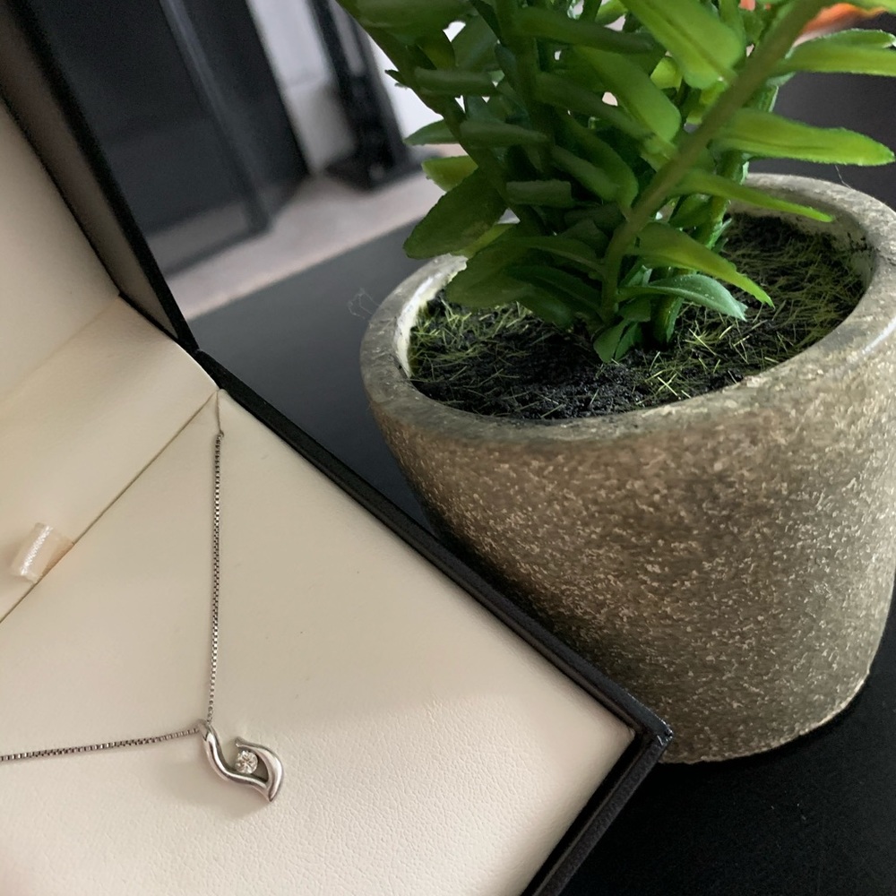 Authentic - Real Fred Meyers Sterling Silver diamond necklace